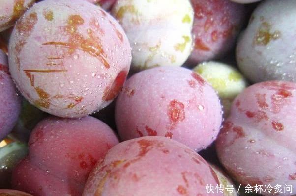 女性想要皮肤好,坚持吃以下几种食物,延缓衰老,改善肌肤