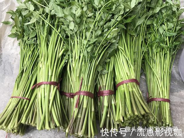 城里人|农村里不值钱几种野菜,都是城里人的抢手货,第6种80块钱1斤
