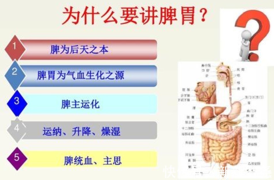 医生|湿气最易困人，从头到脚。医生：记住这3种祛湿的食物，受用一生