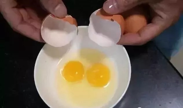 钓鱼比蚯蚓厉害万倍饵料：入水鲫鲤疯咬不断，整条河鱼闻味被吸引