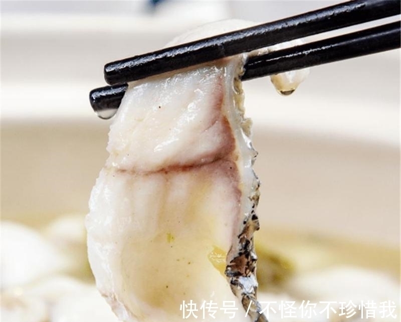 日本发明的“骨泳”，将活鱼肉剃光，再放回缸里，鱼还活着