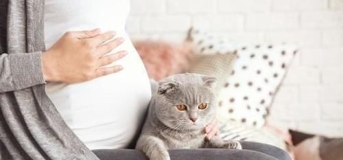 wife|不关WiFi就砸车,孕妈:我宝宝要是出了问题,你们负得起这个责吗