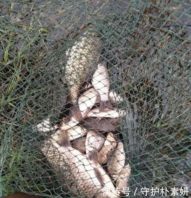 大爷|大爷洪水边上钓鱼,汹涌河水中钓起一“大物”,顿时心神不安