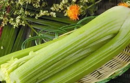 女性到了中年，不妨常吃以下食物，减肥瘦身，排毒养颜，滋补身体