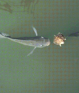 |搞笑GIF:姐,孩子长这么大了你是第一次抱吧,看着太心疼了