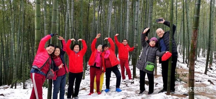 大竹海|正月下江南（1）雨中游太湖古镇，游览雪后中国大竹海