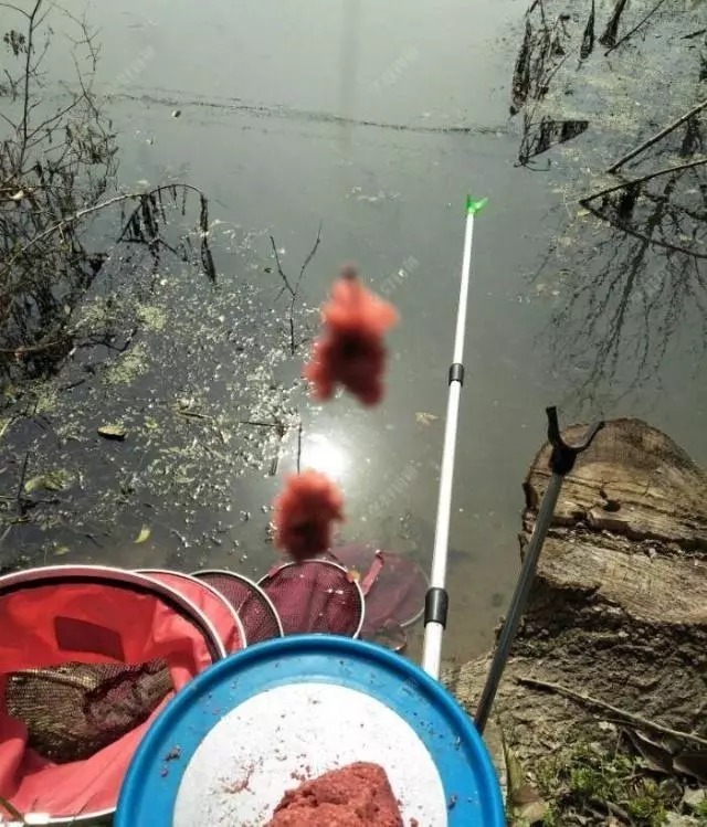 冬季钓鱼误区:“冬钓深水”,老钓手告诉你,这几个位置鲫鱼最多