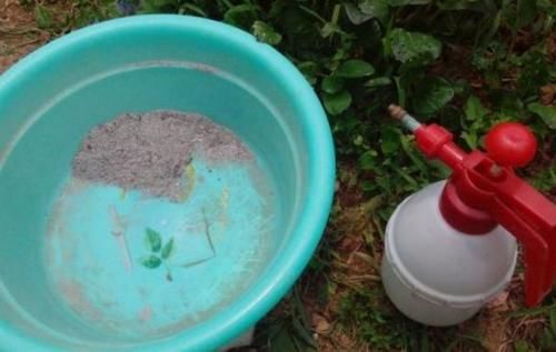 忽冷忽热的天气，养花种草，怕出意外就多用点这“灰”