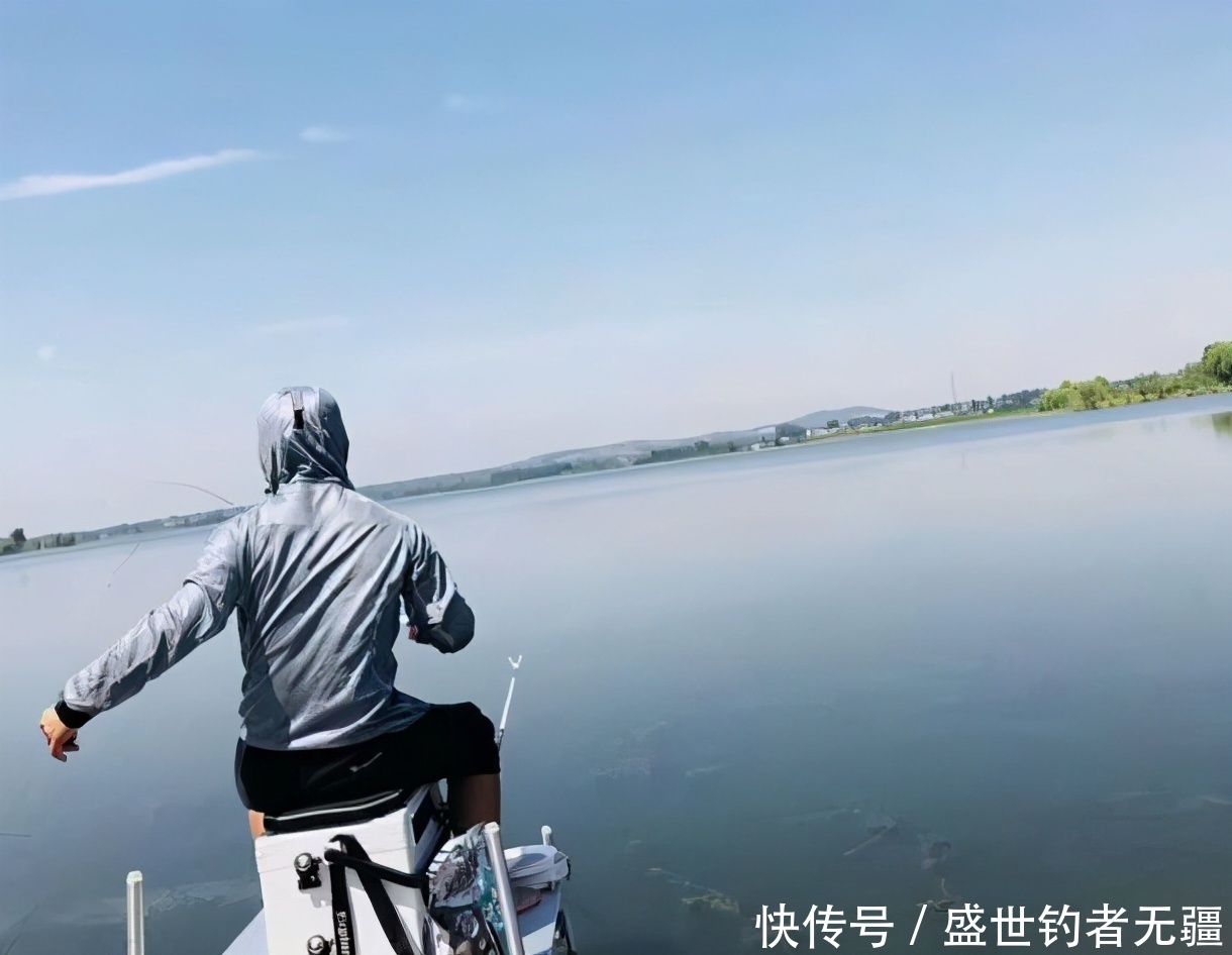 鲤鱼|夏季野钓鲤鱼,有这么一套“黄金搭”档就够了!——盛世三渔