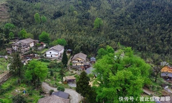 这个寺庙太宁静了，宜春本地人都应该来看一下