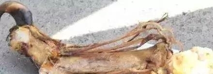 文玩界|"文玩市场上看到这几个摊位,千万不要靠近"