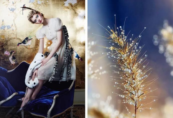 共存|海军蓝,复古与时尚并行的艺术画,简约的浪漫同经典共存