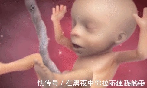 中期孕|除了睡觉，胎儿如何每天在肚子里都干啥宝宝小日子开心到飞起