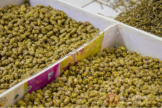 吃石斛的禁忌是什么