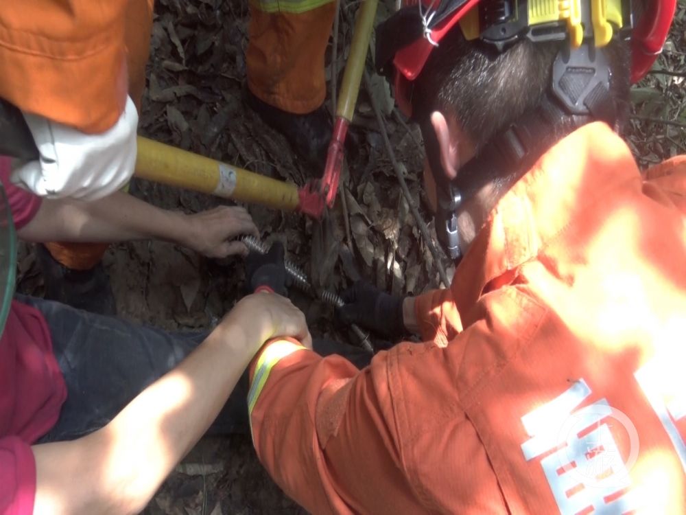 捕兽|大姐采蘑菇误踩捕兽夹 消防员紧急登山救援