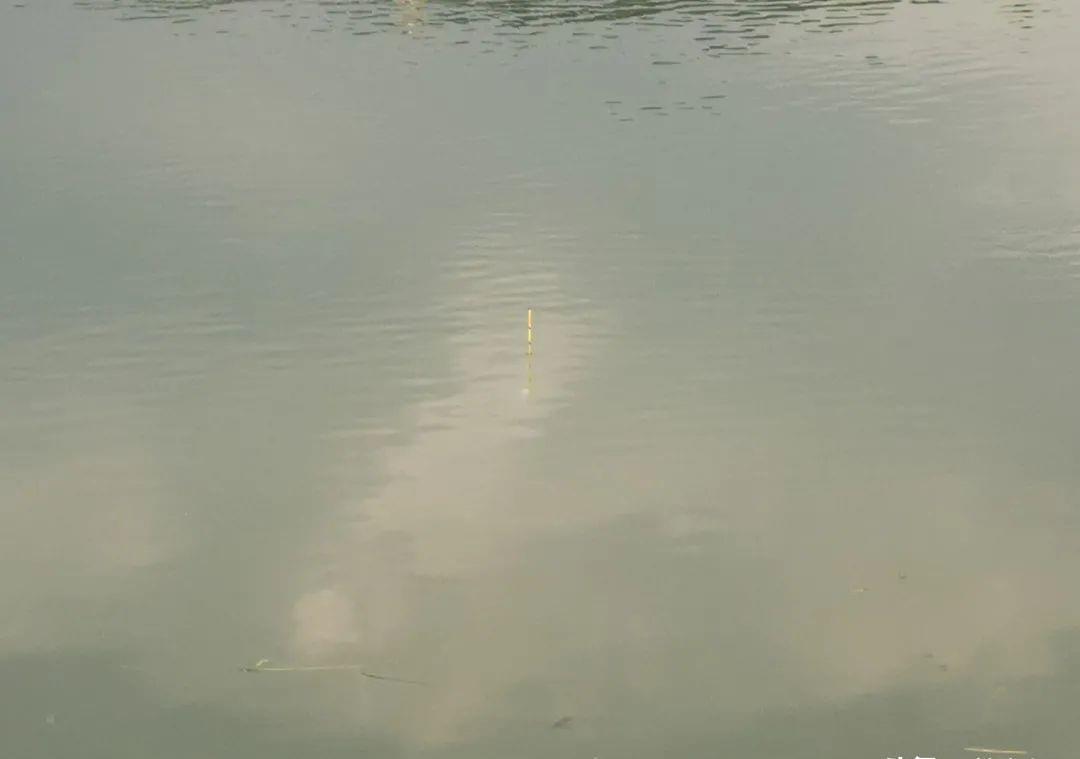 野钓别|盯紧你的浮漂!冬天野钓别等黑漂,这样的小信号也能中鱼