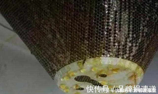 吸油纸|建议大家不管厨房大小,尽量置办这5件好物,实用不贵显档次!