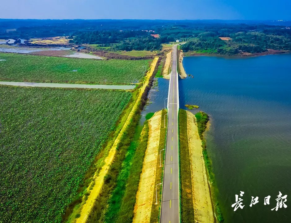 打卡|武汉周边新增一条环湖绿道！有人抢先打卡：随手一拍就是大片