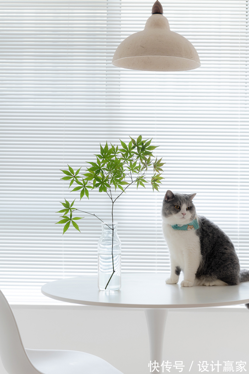 插瓶|70㎡现代简约风，木质的清新自然，小资情调的生活