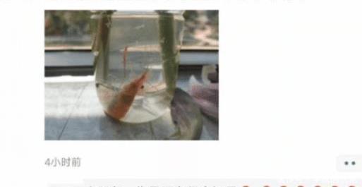 身体|“可以用身体的一个部位换一个亿,你会用哪个部位”能用的太多了吧,哈哈哈哈