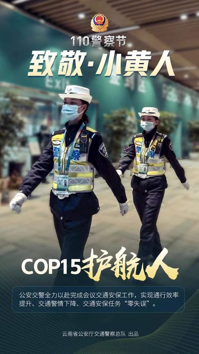 110警察节|110警察节！致敬守护我们平安出行的“小黄人”