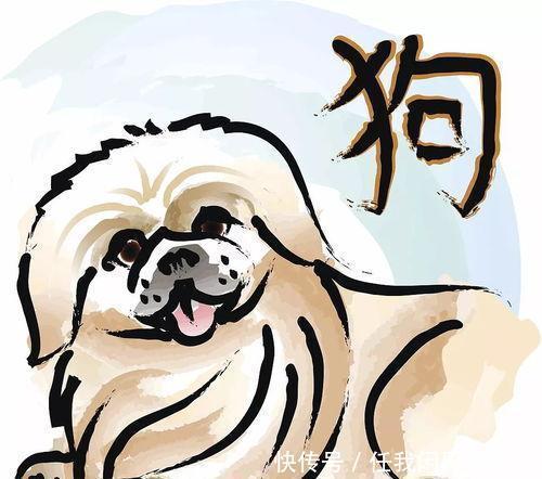 属狗人|狗狗人最近十五天将有“圆圆满满”的大喜事,让人羡慕