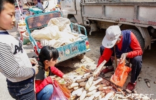 自力更生|7旬农村老太自力更生,农村大集做生意,一年赚1万多元