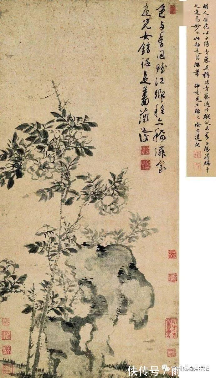 陈淳@与徐渭齐名,这个富二代的一花一世界!