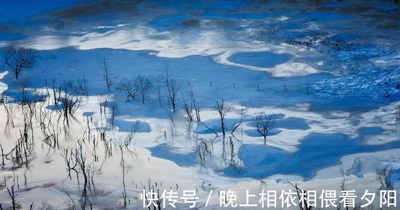 科举考试!贾岛最孤独的一首诗,从开篇到结尾句句伤感,无一字不忧愁!