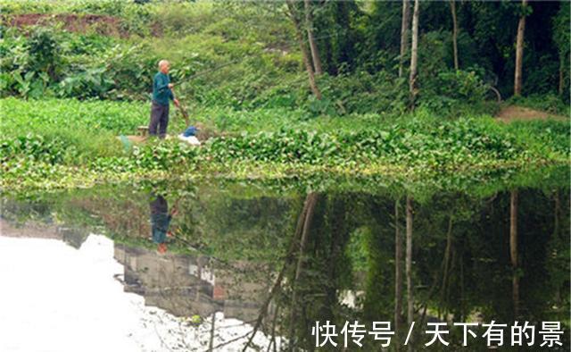饵料|夏季钓鲫鱼的基本思路，最常见的鲫鱼，在夏季反而是最难钓的