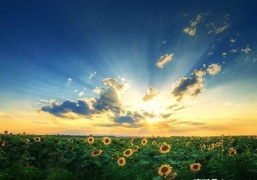 别怪|别怪生活不公平，实在是你性格太差深度解析改变性格的4个方法