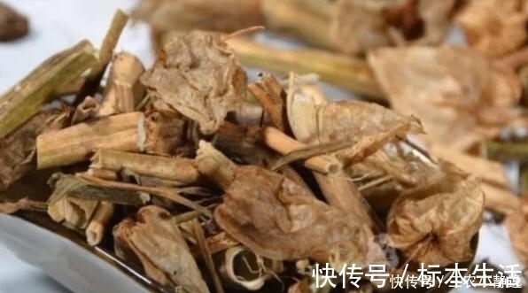 中草药|农村这种野草,是一种珍贵中草药,治疗痔疮效果很明显