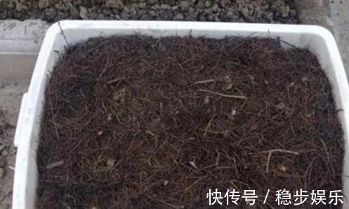 打算给花草换盆,却苦于没钱买营养土不怕,用这些废料就够了