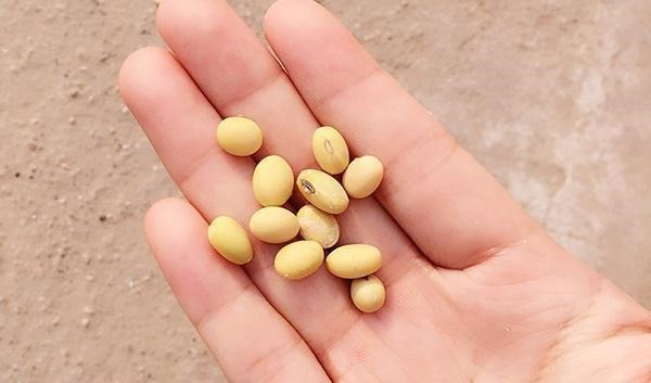 水果干|糖尿病人注意，3类食物能吃，3类不能吃，正确饮食，血糖才会平稳