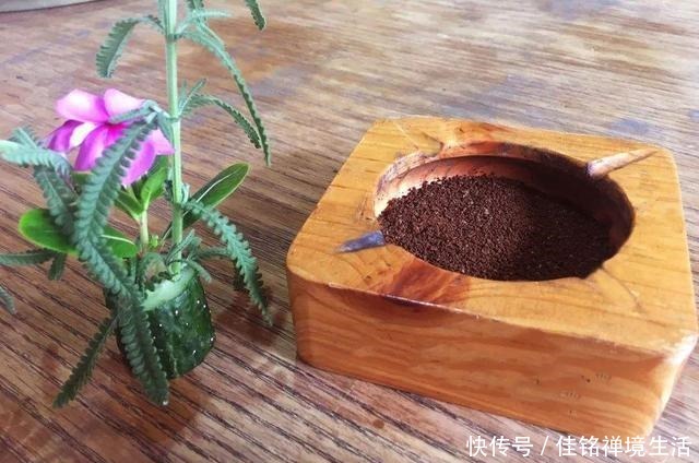 每次路过咖啡店我都会去要一包免费的咖啡渣,它的妙用实在是不少