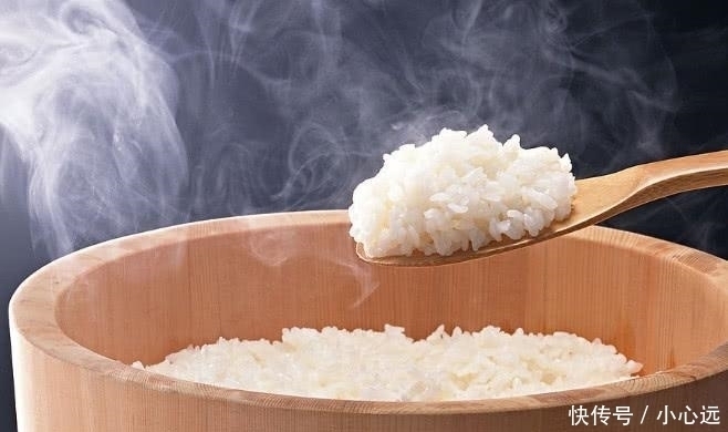 食材非常|如果给你一碗米饭四种汤只能选一个下饭,你会选择哪一种