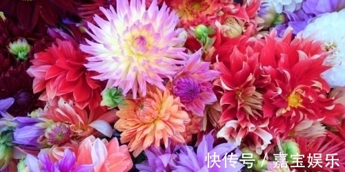 生肖龙|预计在年关，缘分桃花彼此心意相通，爱情依然坚定的4大生肖