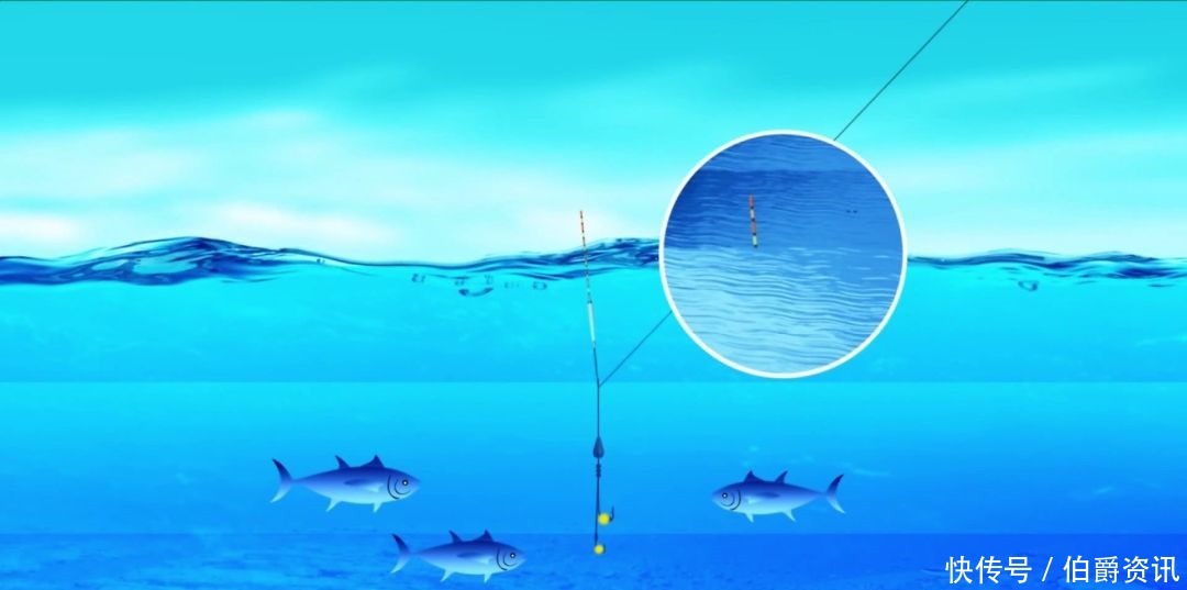 鲫鱼钓了58余年,总结了这套顺口溜,学会包你百钓不厌!