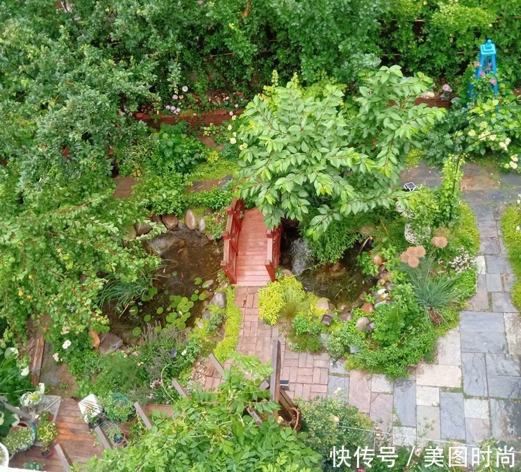 美好时光|花园改造:3年前买了栋带170㎡花园的房子,过上种花草的乡村生活