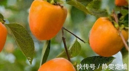 排毒养颜|想长寿要先会吃，3种食物不错过，排毒养颜，增强体质！