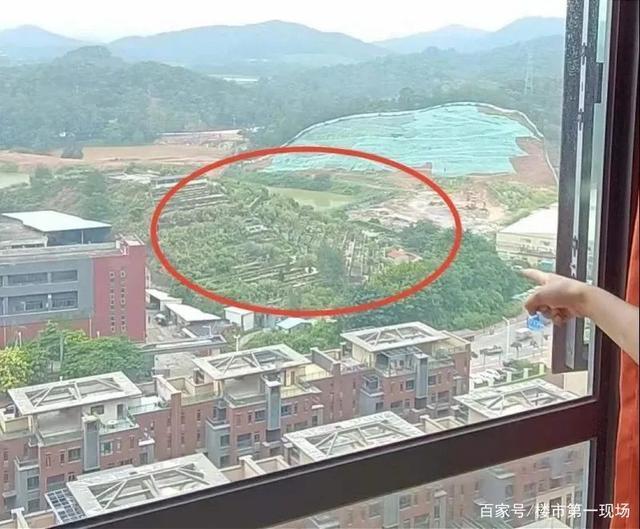 业主|惠州“坟景房”合集,免得你以后买房掉坑里