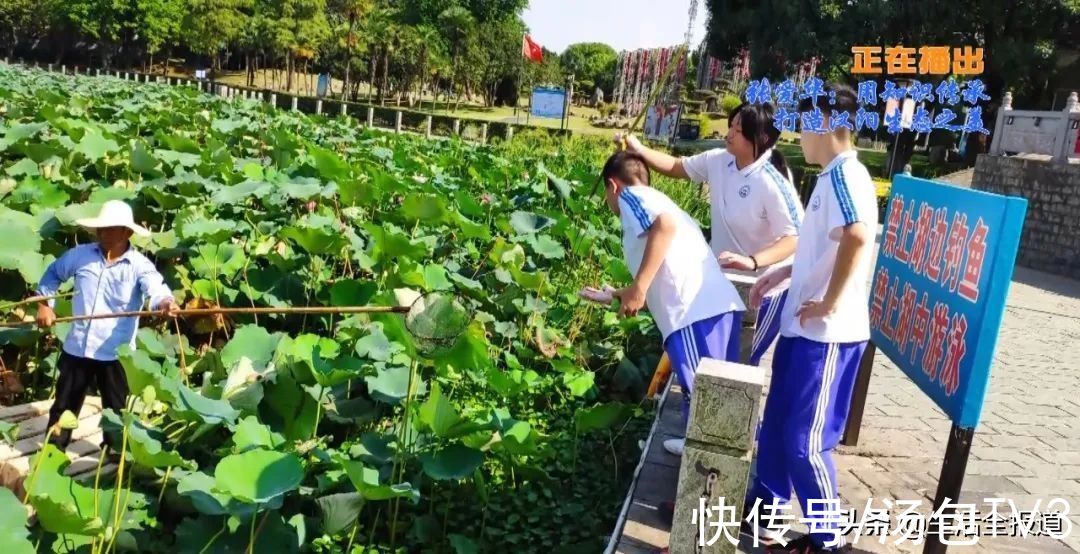 武汉晴川@寻访汉阳好人 张爱华：用知识传承打造汉阳生态之美