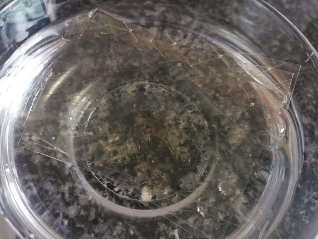 孩子在家吵着吃蛋糕,无奈之下自己动手给孩子做,孩子吃了一半