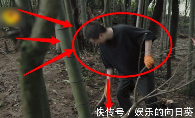 脾氣|《向往5》最懶嘉賓又來了,在節目種樹種到“吐”,脾氣都上來了