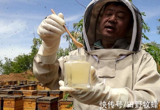 红枣|蜂蜜和面粉可以做什么美食?蜂蜜发糕怎样做?