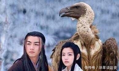 真实|金庸笔下唯一以动物和人一起命名的小说,这动物的真实身份亮了