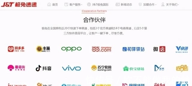 阿里系|“极兔”狂奔，背后与拼多多有着何种关系？