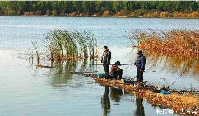 至,农谚寒露过三朝,迟早一齐标啥意思?