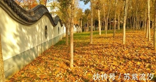 白居易$史上10大悼亡诗词排行榜,首首令人泪目,哪首最感动人?