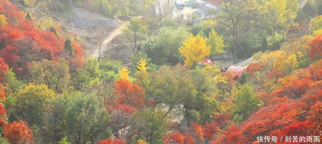 这是不是神仙居住的地方实在是太美了！